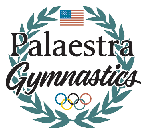 palaestra-gymnastic-academy