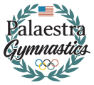 palaestra-gymnastic-academy
