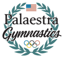 palaestra-gymnastic-academy